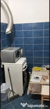 Garsoniera-Buziasului-Renovata 