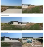 Proprietate imobiliara industrial-agricola – Com. Becicherecu Mic, jud. Timis 