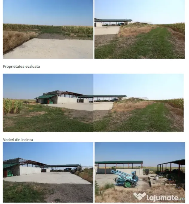Proprietate imobiliara industrial-agricola – Com. Becicherecu Mic, jud. Timis
