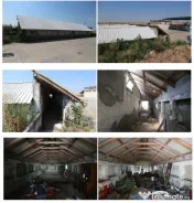 Proprietate imobiliara industrial-agricola – Com. Becicherecu Mic, jud. Timis 