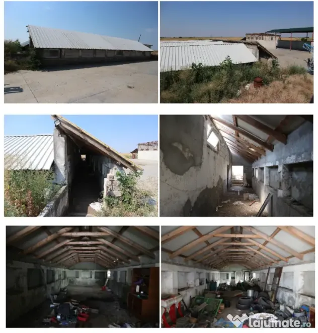 Proprietate imobiliara industrial-agricola – Com. Becicherecu Mic, jud. Timis