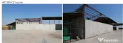 Proprietate imobiliara industrial-agricola – Com. Becicherecu Mic, jud. Timis 