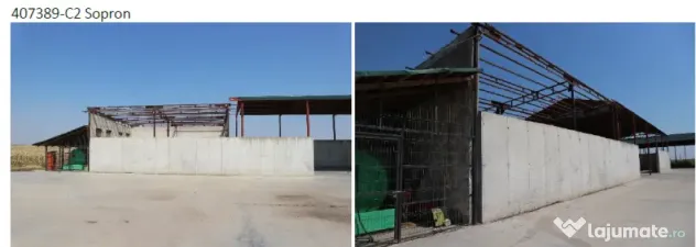 Proprietate imobiliara industrial-agricola – Com. Becicherecu Mic, jud. Timis