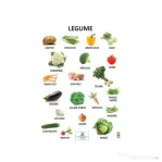 Plansa Legume