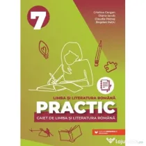 Limba si literatura romana. Caiet Practic pentru Evaluarea Nationala, clasa a 7-a - Cristina Cergan