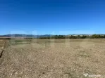 Teren agricol de vanzare, 5.000 mp, zona Barabant