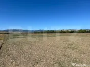 Teren agricol de vanzare-5.000mp 