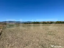 Teren agricol de vanzare-5.000mp