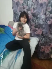 British shorthair blue 