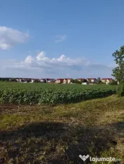 SE VINDE TEREN 5000 MP INTRAVILAN, MIXT CU DESCHIDERE LA DJ1 
