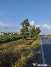 SE VINDE TEREN 5000 MP INTRAVILAN, MIXT CU DESCHIDERE LA DJ1 