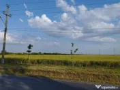 SE VINDE TEREN 5000 MP INTRAVILAN, MIXT CU DESCHIDERE LA DJ1 
