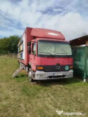 Mercedes Atego stupina 
