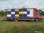 Mercedes Atego stupina 
