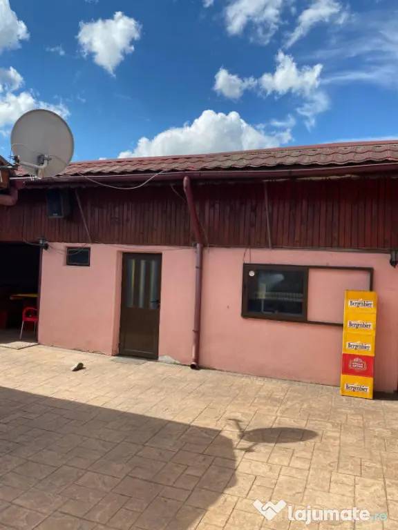 CASA SEGARCEA 320MP UTILI, 368 MP TEREN - Segarcea (Dolj)