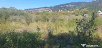 Teren intravilan, 1.105 mp, zona Vatra Dornei