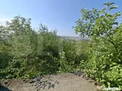 Teren Intravilan 500mp Zona Platou Cornesti 