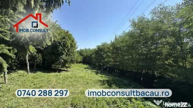 Casă de vânzare cu teren de 1.000 mp | Grigoreni, comuna Șorteni | CE1 - Grigoreni (Bacau)