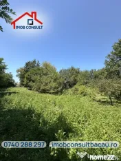 Casă de vânzare cu teren de 1.000 mp | Grigoreni, comuna Șorteni | CE1