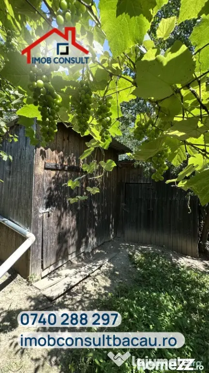 Casă de vânzare cu teren de 1.000 mp | Grigoreni, comuna Șorteni | CE1 - Grigoreni (Bacau)