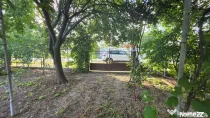 Casă cu potențial, 4 camere, lângă pădure-Jud Giurgi...