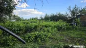 Casă cu potențial, 4 camere, lângă pădure-Jud Giurgi... 