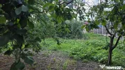 Casă cu potențial, 4 camere, lângă pădure-Jud Giurgi... 