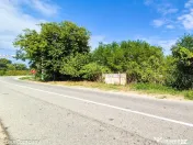 Teren Intravilan Colonesti Olt 