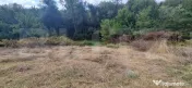 Bucovat, teren parcelabil, , 2021 mp, panorama spectaculoasa 
