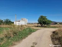 Teren Sanpetru str.Lanul cu Lavanda 