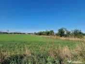 Teren Sanpetru str.Lanul cu Lavanda
