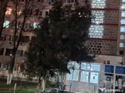 Aparatorii patriei turnu magurele etaj 3 