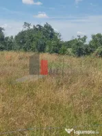 Vânzare 2 loturi de casă Dobreni Giurgiu