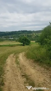Laschia, 6 ha teren 