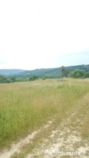 Laschia, 6 ha teren 