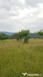 Laschia, 6 ha teren 