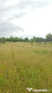 Laschia, 6 ha teren 