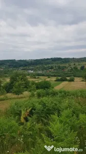 Laschia, 6 ha teren 