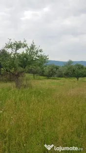 Laschia, 6 ha teren 