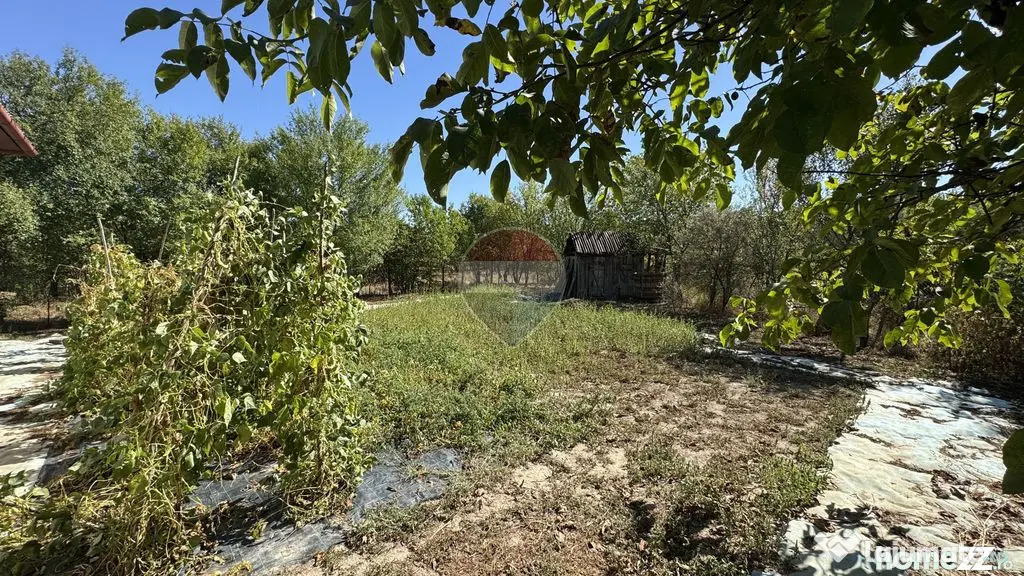 De vanzare locatie la 35.000 euro CASA + SURA - Fersig (Maramures)