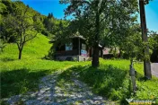 FILM! Proprietate autentica, Bran-Simon, 4.300 mp teren, cas 