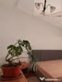 Inchiriez apartament 2 camere
