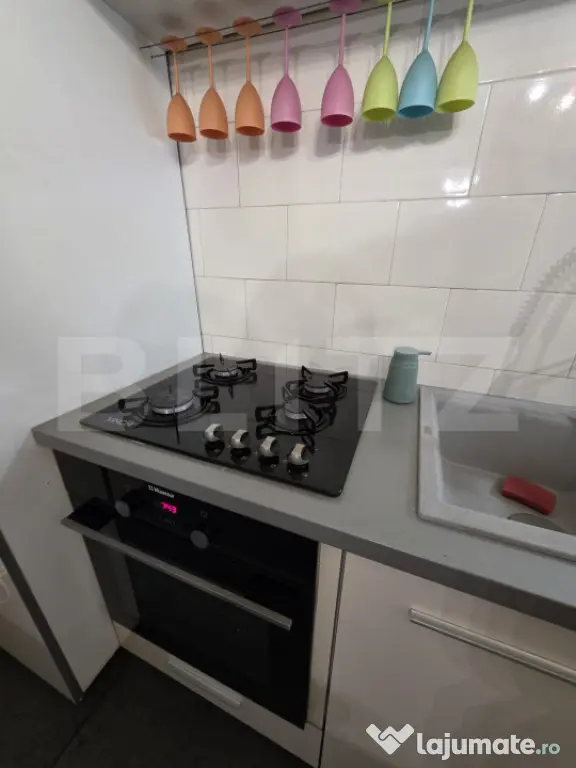 Apartament 2 nivele open space/90mp/Facultatea de Litere - Cluj-Napoca (Cluj)