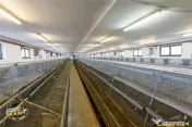 FILM! Ferma de iepuri,Malnas,Covasna: domeniu:comercial indu