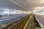 FILM! Ferma de iepuri,Malnas,Covasna: domeniu:comercial indu