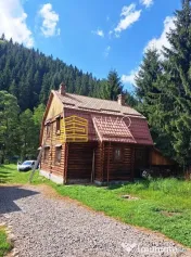 Casă de vacanță - Mureș - Sălard 