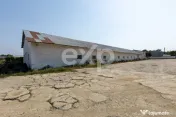DE VÂNZARE TEREN INTRAVILAN 34.473 MP | MĂRGINENI – BAC?
