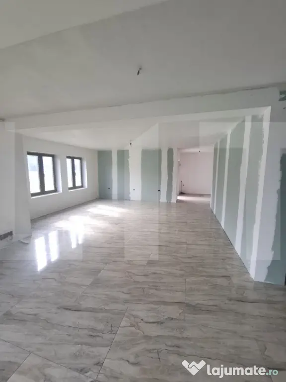Casă cu Etaj și Pod, 325 mp, Teren 1045 mp, Construcție - Botosani (Botosani)