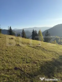 Teren extravilan, 22.870 mp, zona Sadova