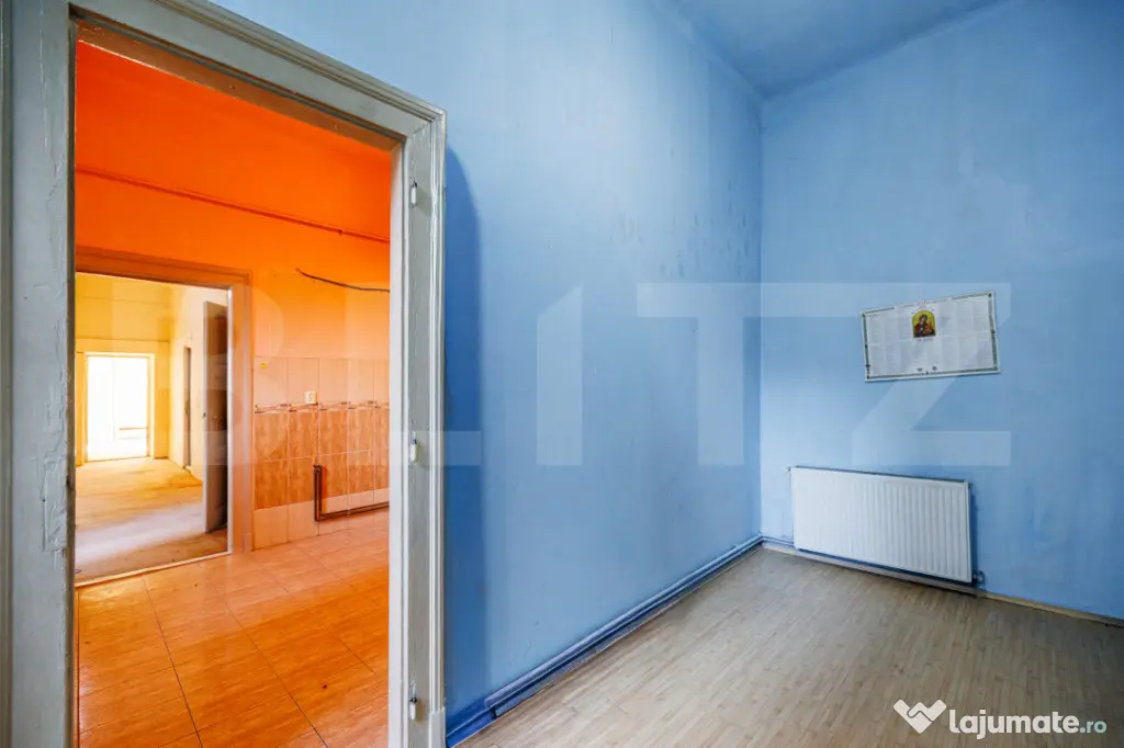 Apartament Istoric 175mp, Sinaia/P-ta Maria, 50mp Terasa - Timisoara (Timis)